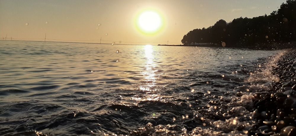 Фотография автора Александр