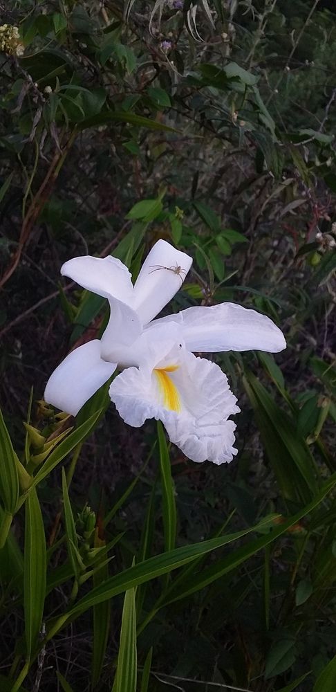 Фотография автора Jorge Lima