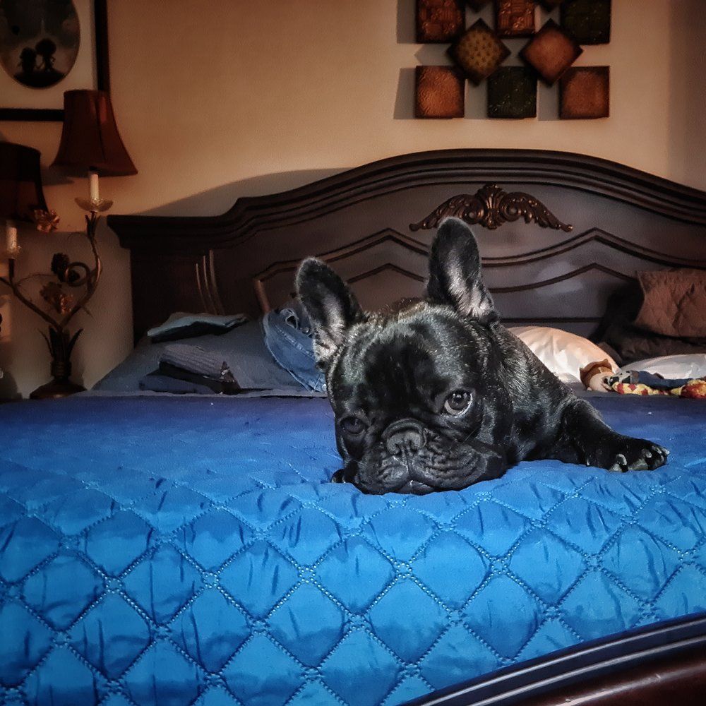 Photograph by Mauricio Mora Flores