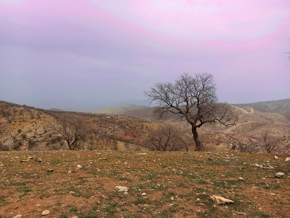 Photograph by Asma Rashidi