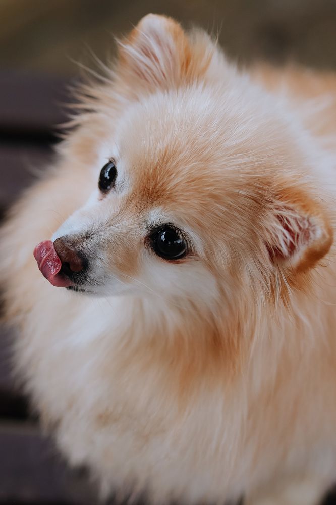 Фотография автора Валерия Афонасьева