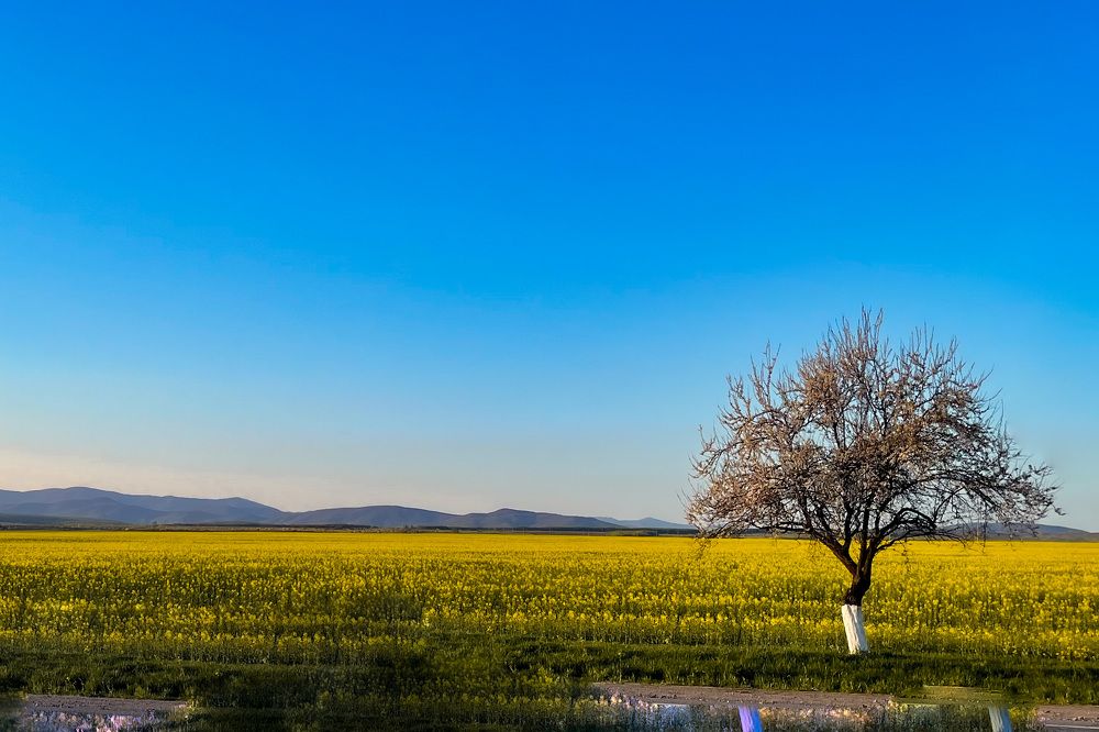 Фотография автора Валерия Афонасьева
