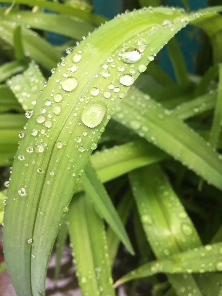 Фотография автора Виктория Балановская