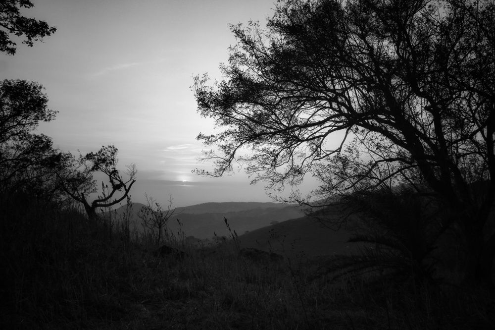 Photograph by Mauricio Mora Flores