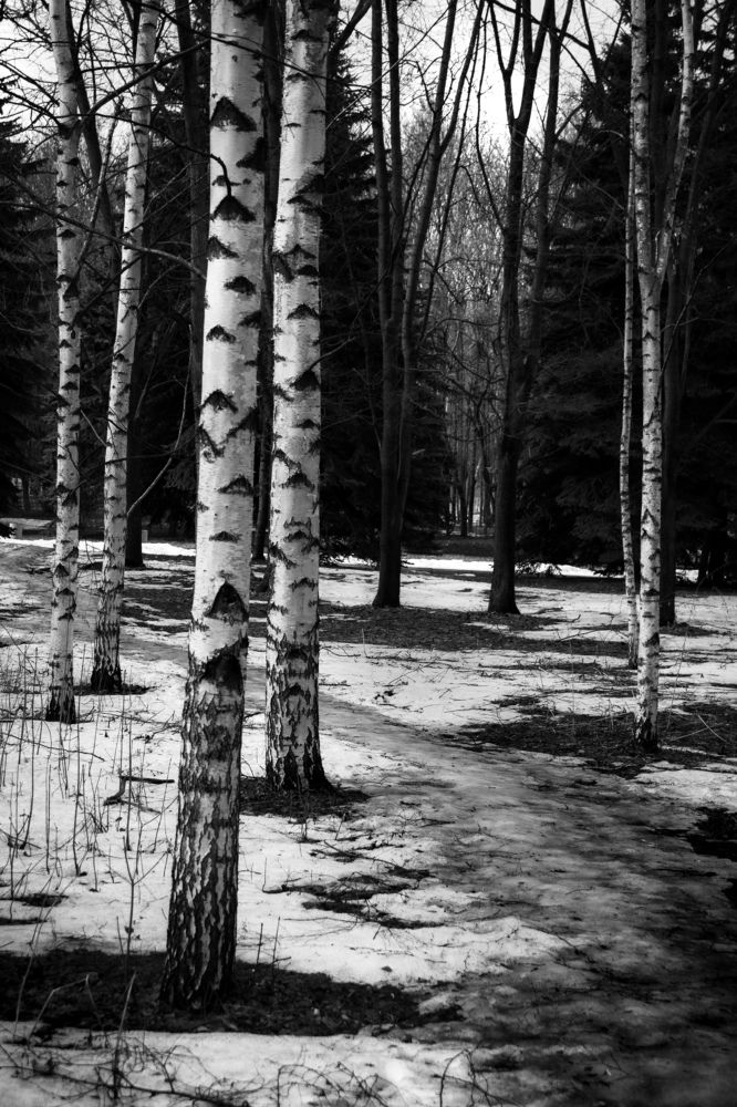 Photograph by Татьяна Хуссейн