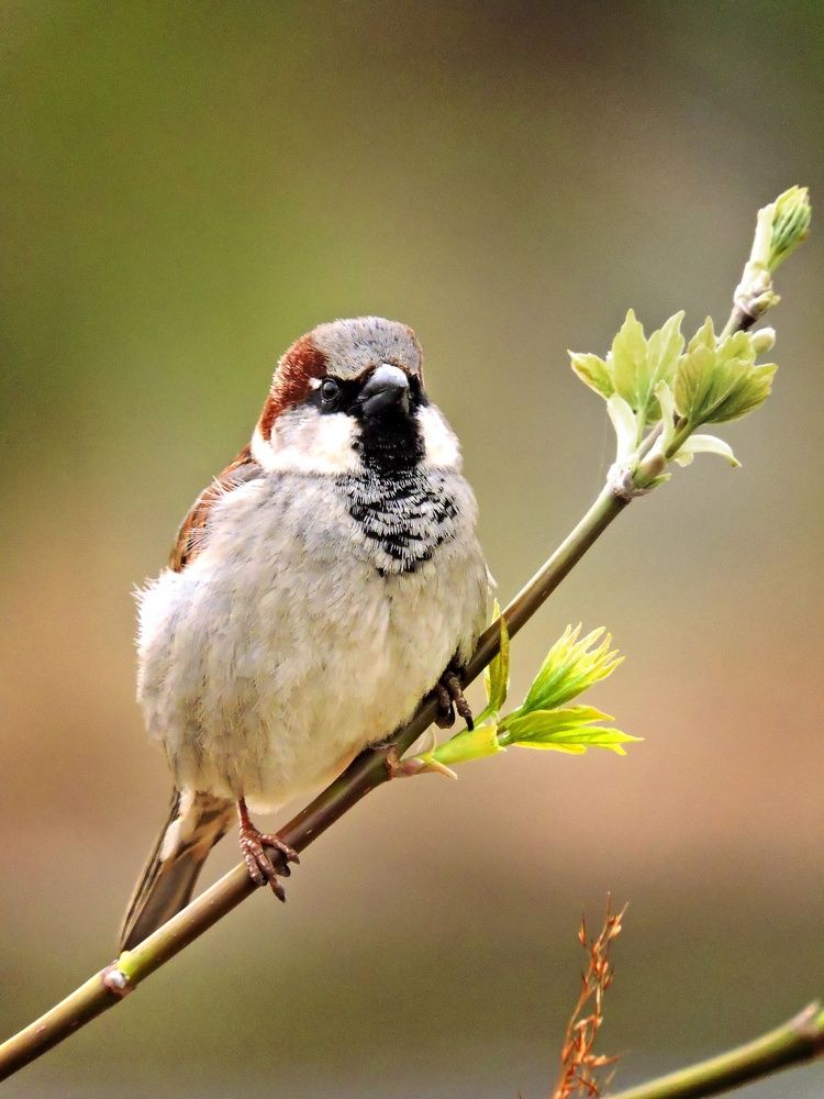 Photograph by LIDIA YUSUPOVA