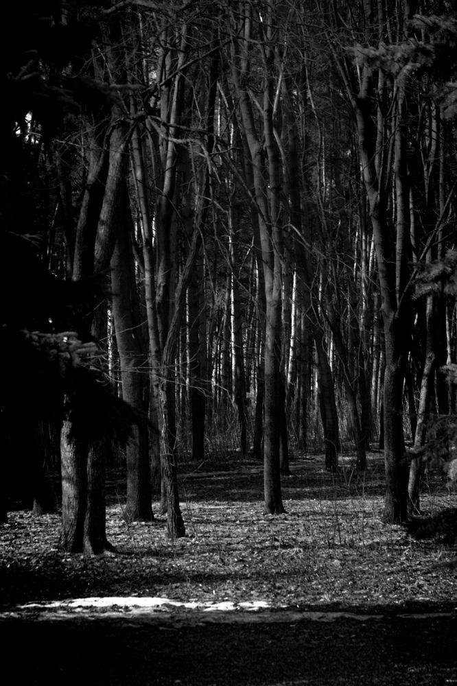 Photograph by Татьяна Хуссейн