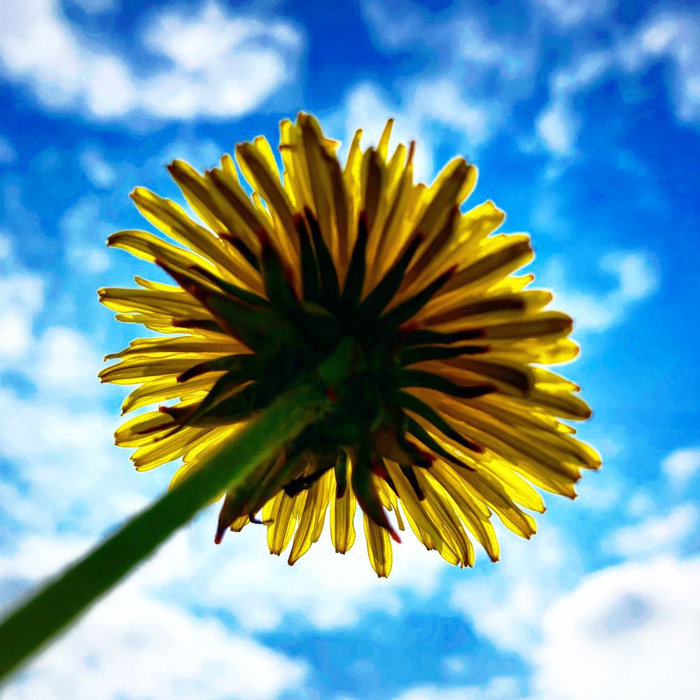 Photograph by Марина Иванова