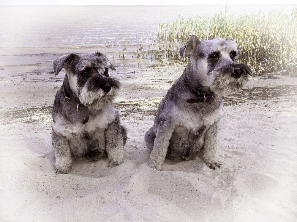 Photograph by Светлана Зубанова