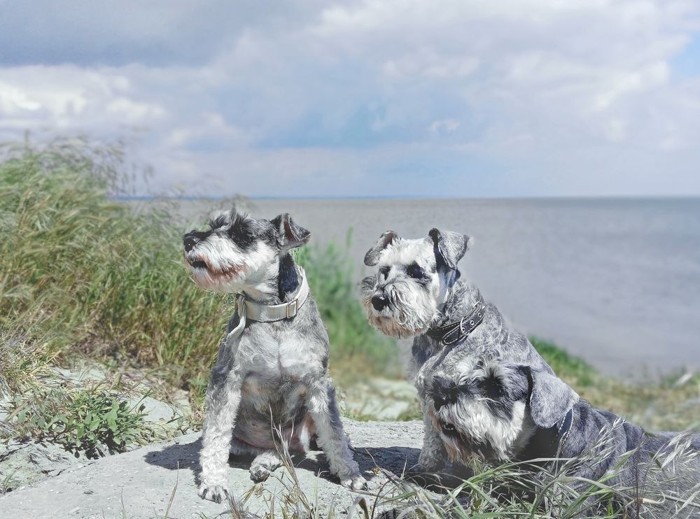 Photograph by Светлана Зубанова