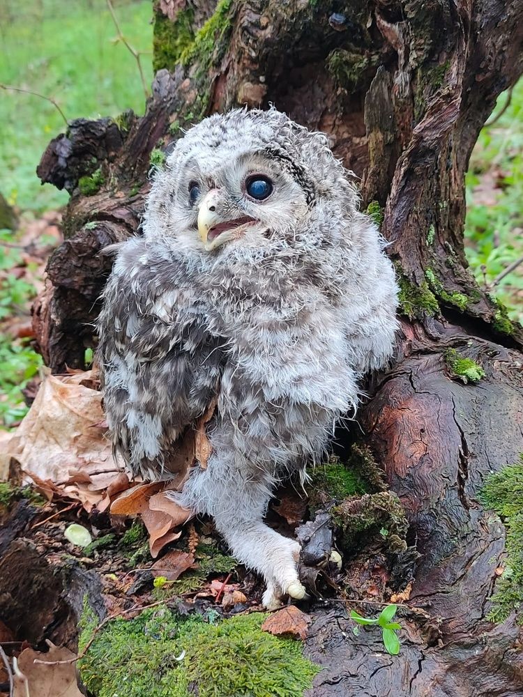 Photograph by LIDIA YUSUPOVA