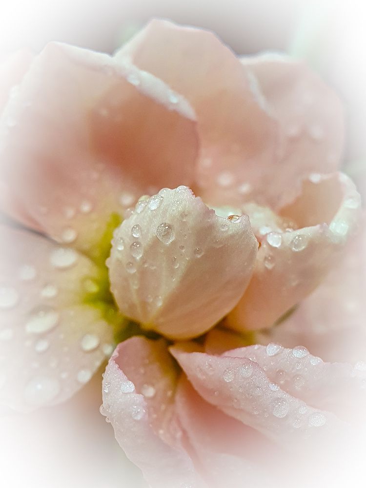 Photograph by Юлия Таран