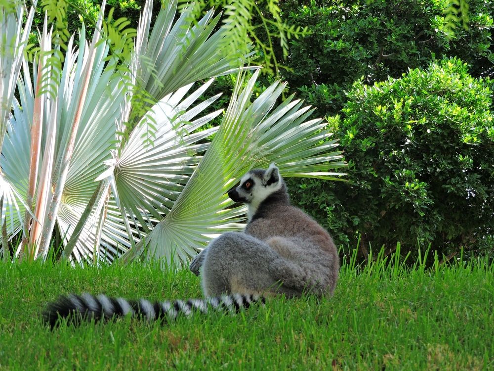 Photograph by LIDIA YUSUPOVA