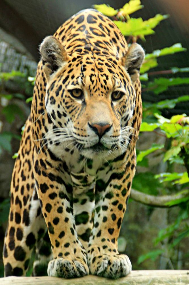 Photograph by LIDIA YUSUPOVA