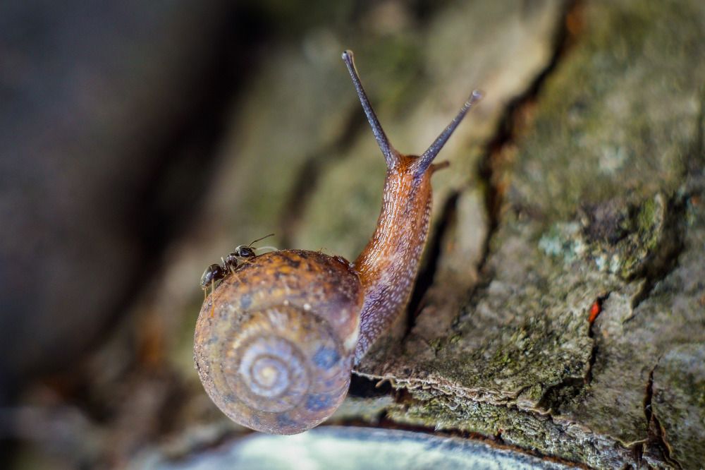 Фотография автора Юрий Фефилов