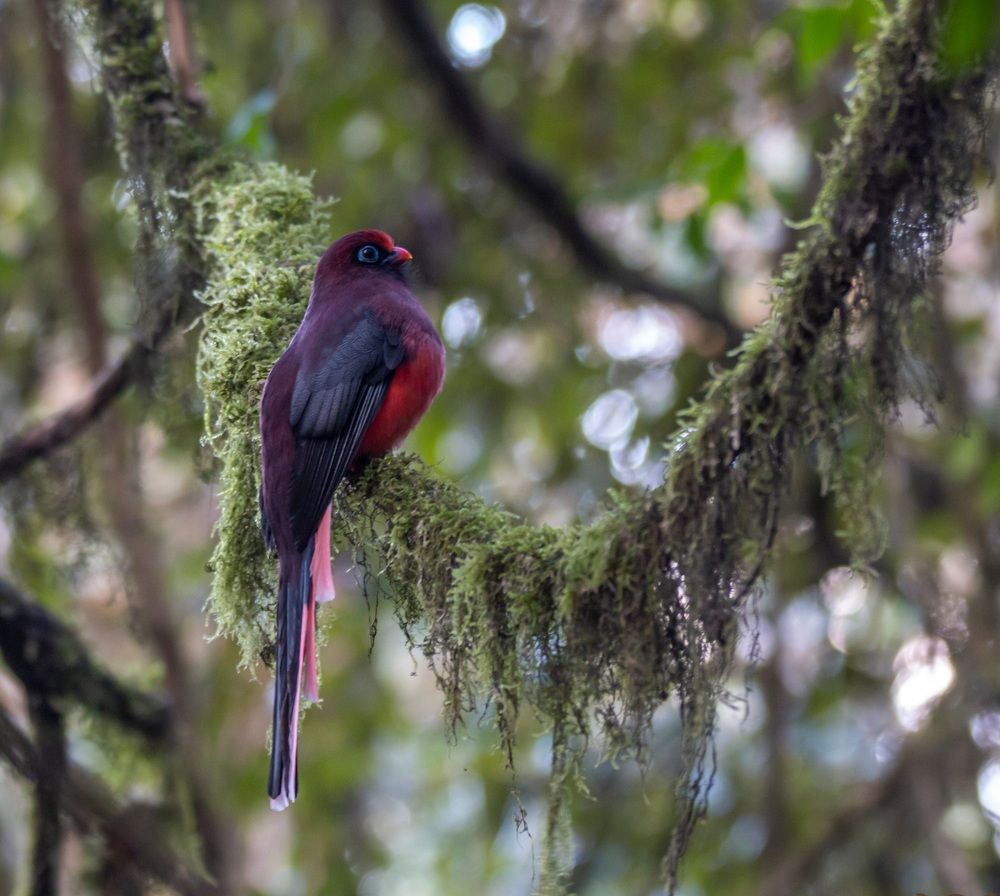 Photograph by Chencho Wangdi