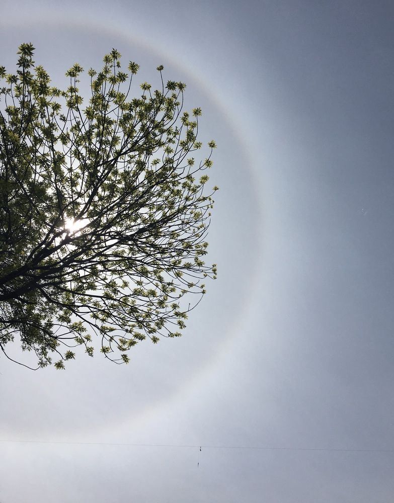 Фотография автора Виктория Балановская