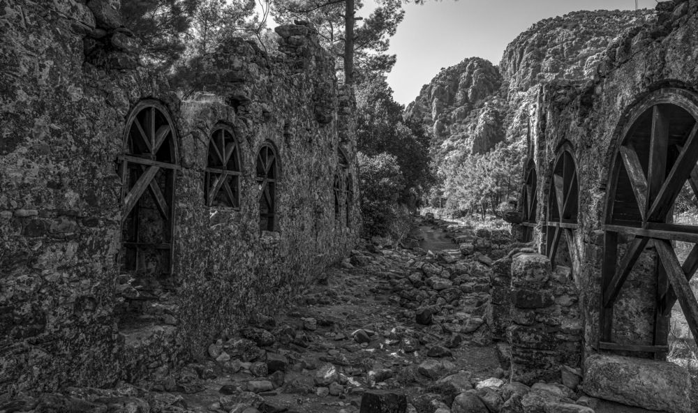 Фотография автора Сергей Савчук