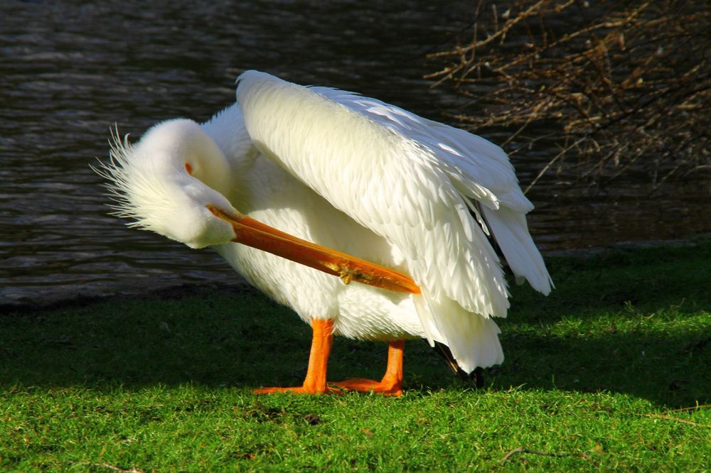 Photograph by LIDIA YUSUPOVA