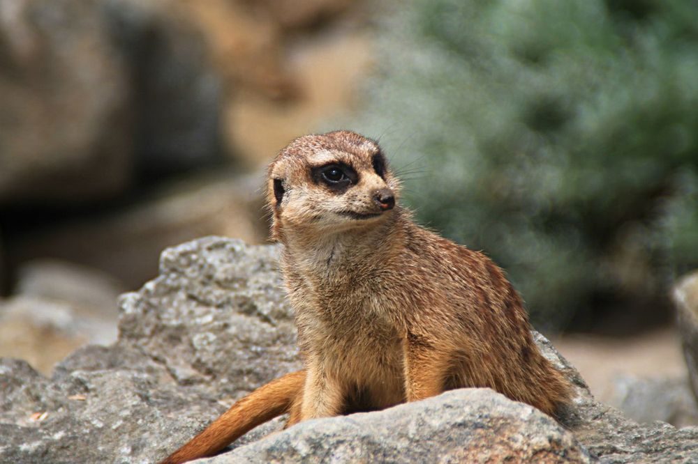 Photograph by LIDIA YUSUPOVA