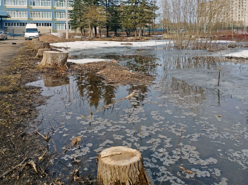 Photograph by Ольга Владимировна Мухина