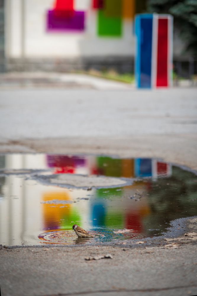 Фотография автора Анна Пикаленко