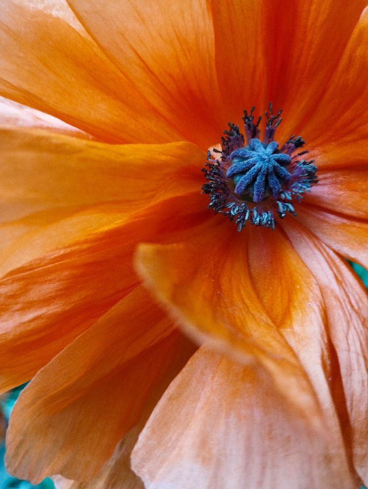 Photograph by Наталья Шёлкова