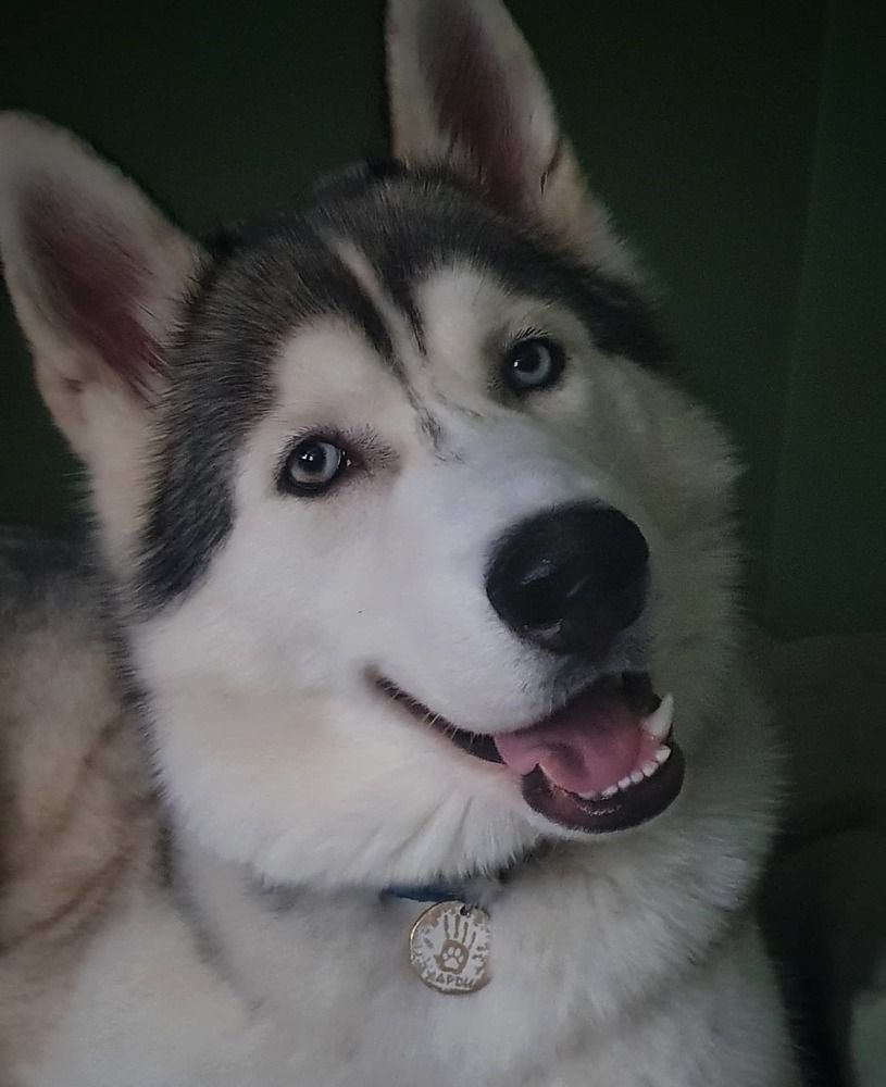 Photograph by Юлия Таран