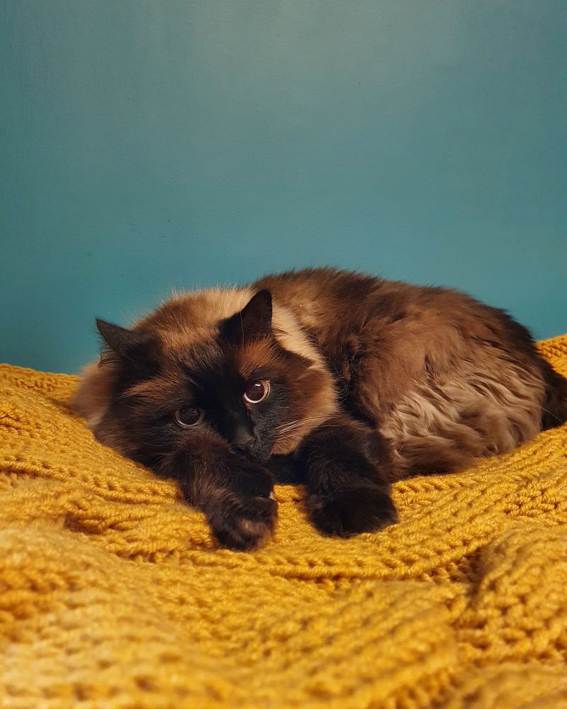 Photograph by Юлия Таран