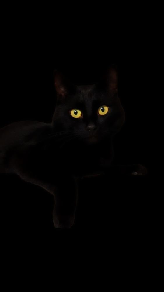 Photograph by Юлия Таран