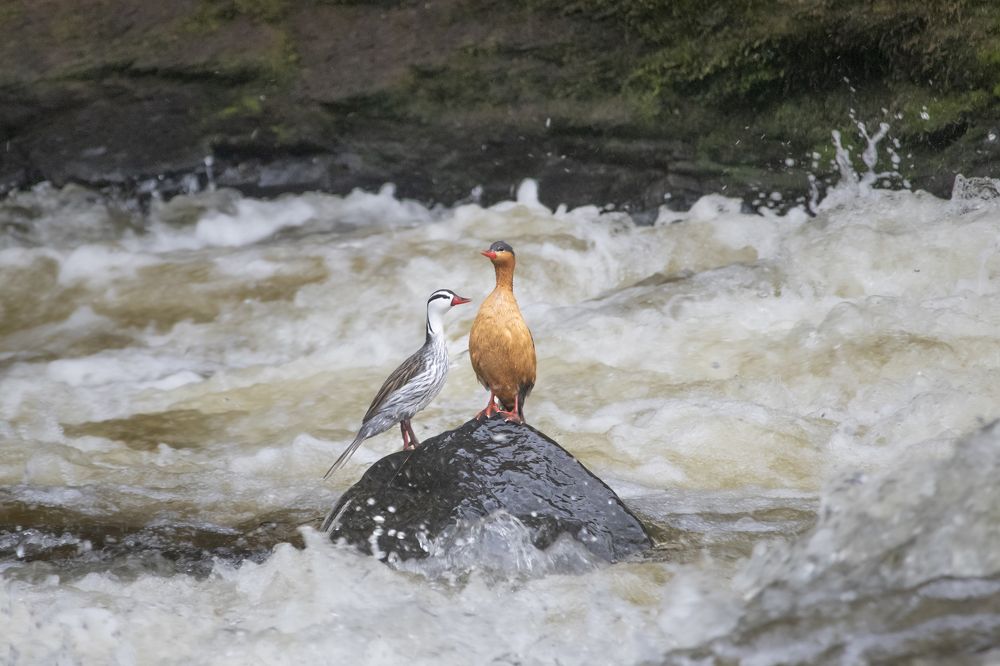 Photograph by Oscar Darío Erazo Velasco