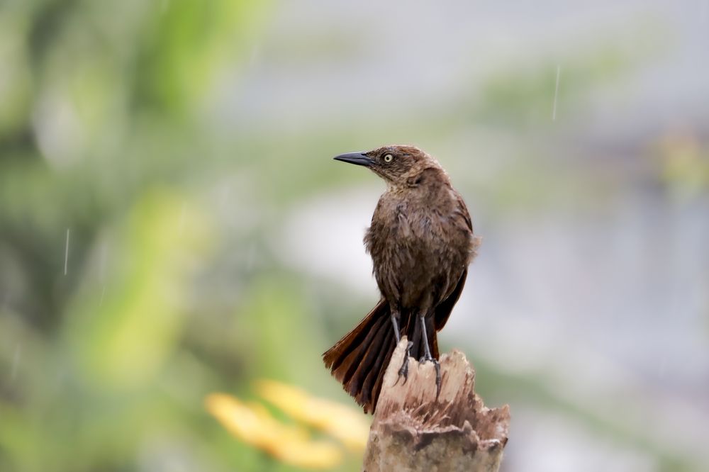 Photograph by Oscar Darío Erazo Velasco