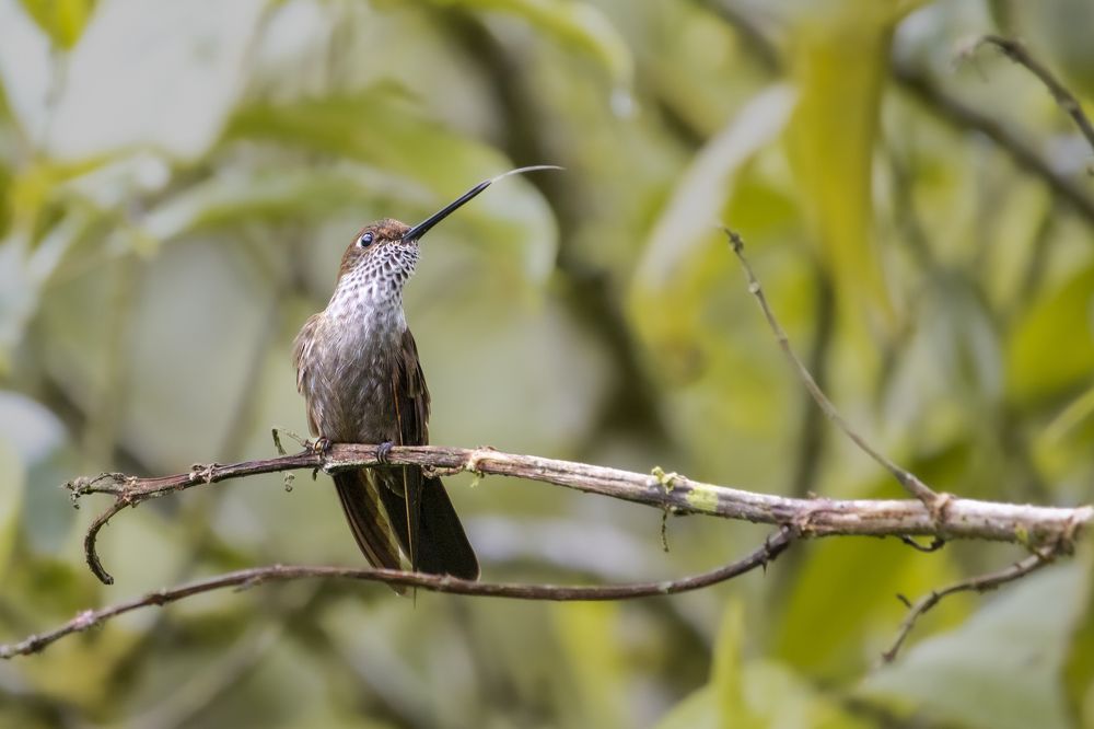 Photograph by Oscar Darío Erazo Velasco