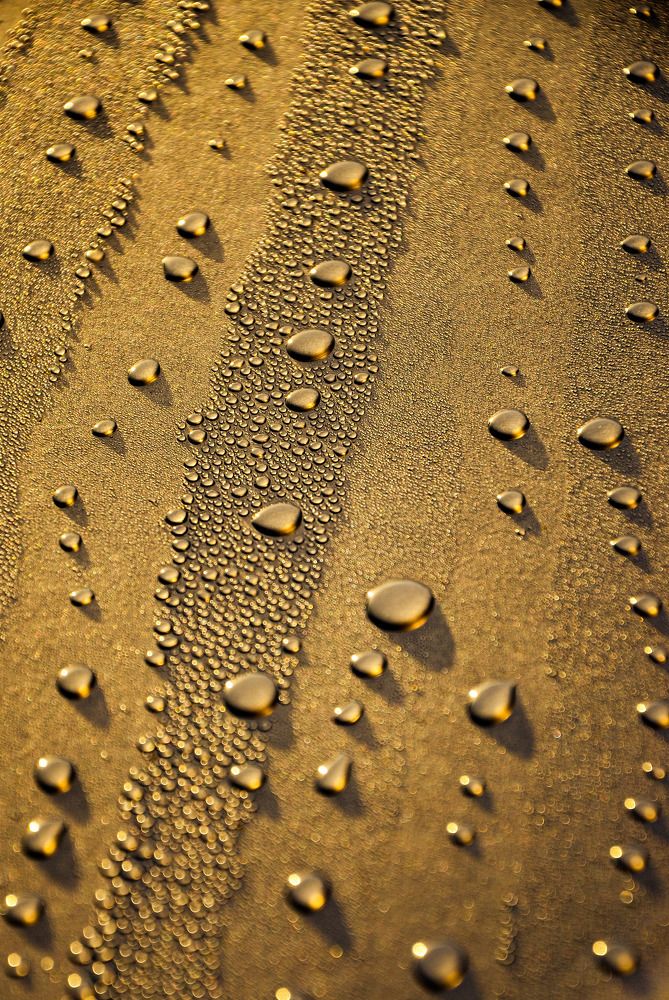 Фотография автора Сергей Воронцов