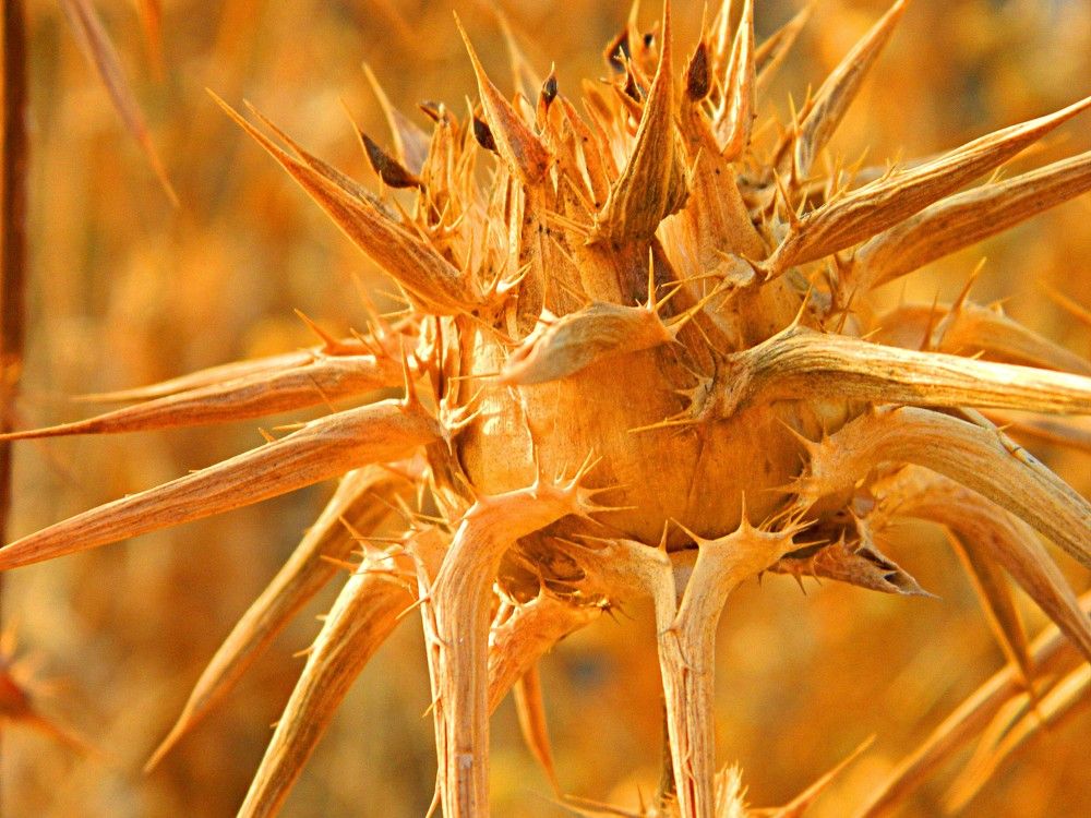 Фотография автора Сергей Рапопорт