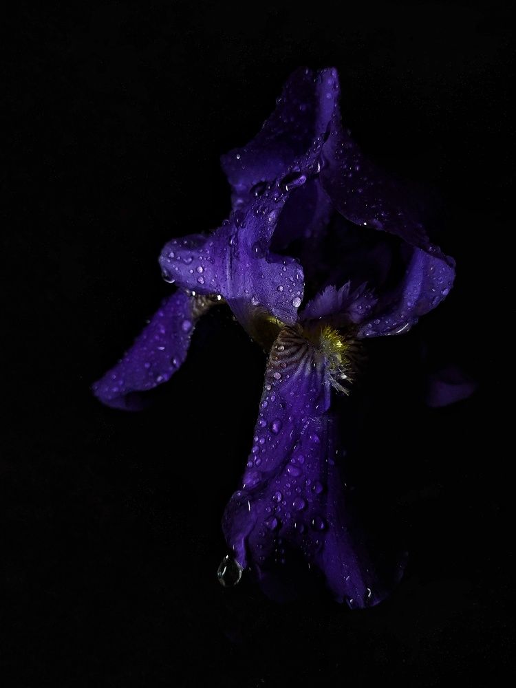 Photograph by Ксения