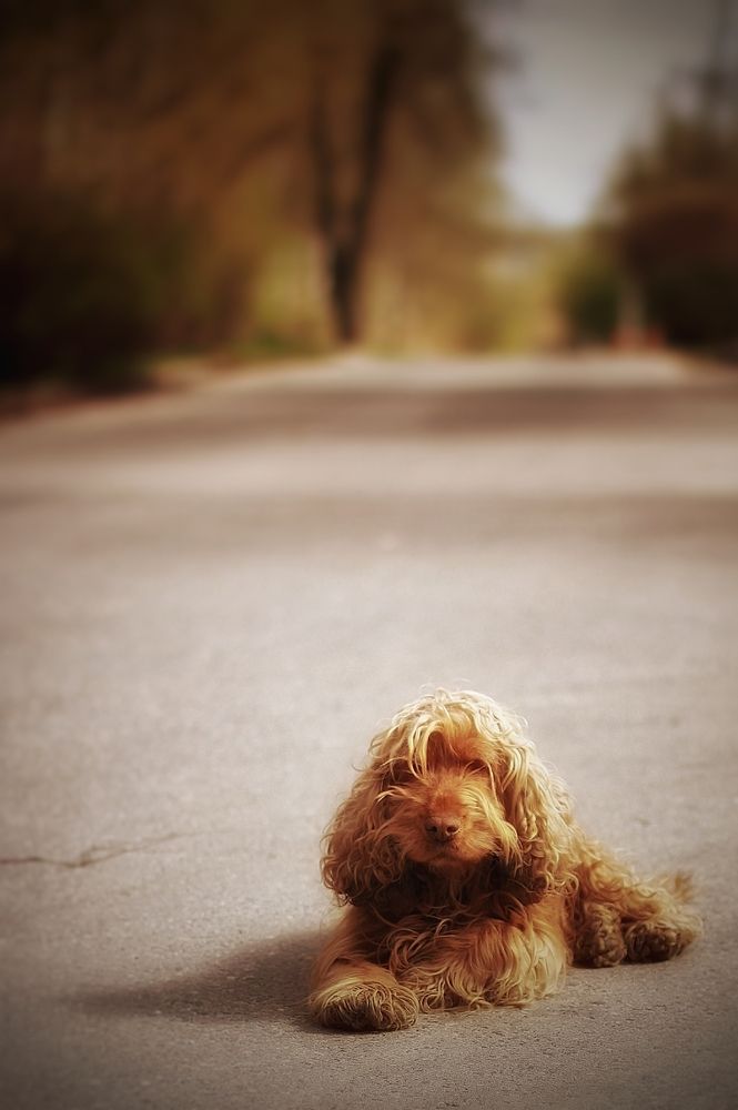 Photograph by Татьяна Абрамова