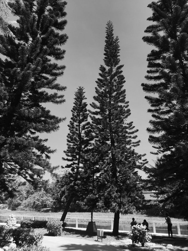 Фотография автора Aklimay Sajor