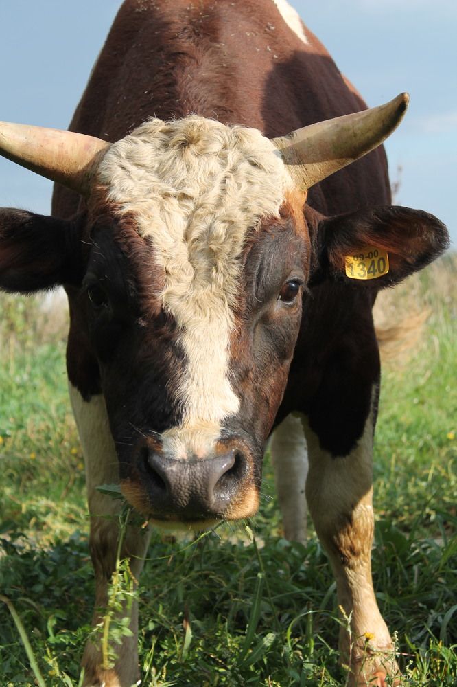 Photograph by Татьяна Долгушева