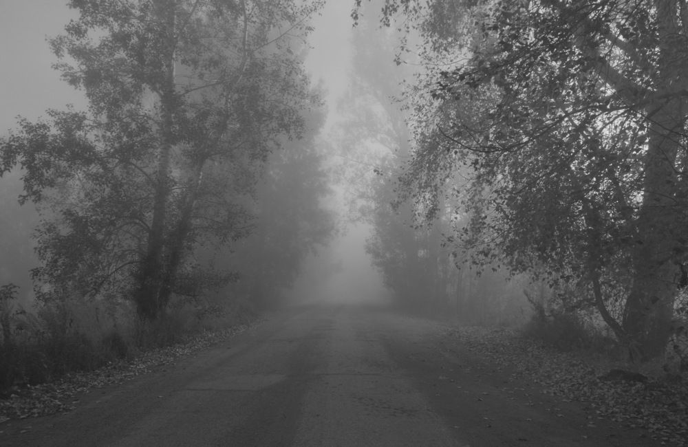 Photograph by Василий Быстрицкий