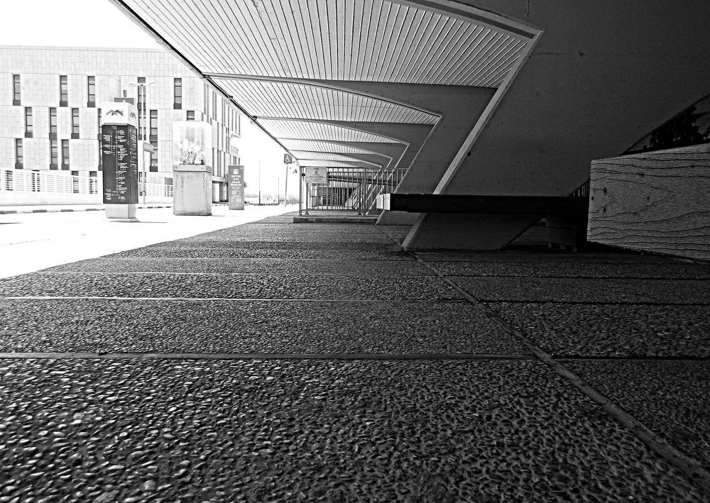 Фотография автора Сергей Рапопорт