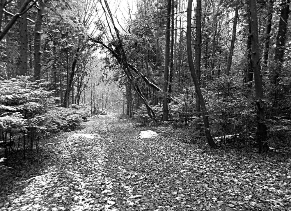 Фотография автора Сергей Рапопорт