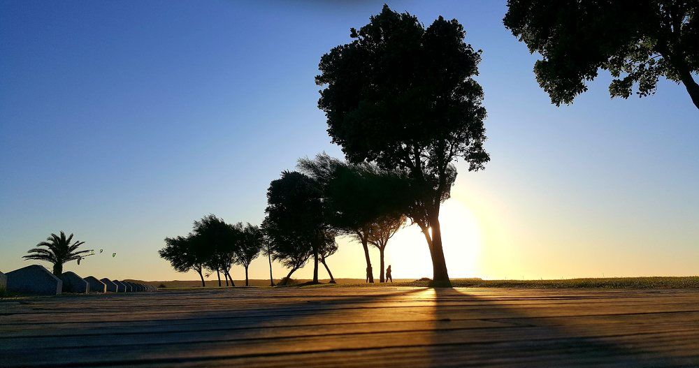 Фотография автора Adaya Iglesias