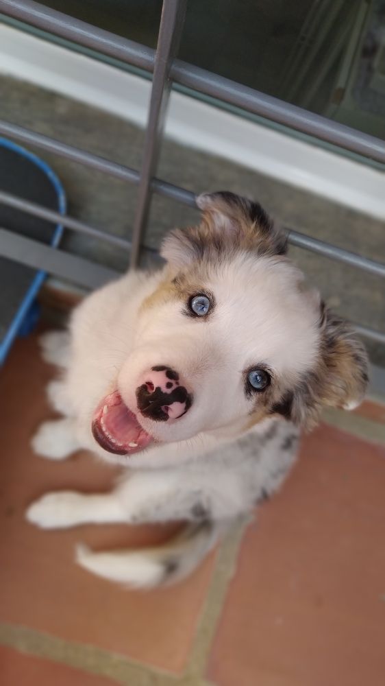 Фотография автора Adaya Iglesias