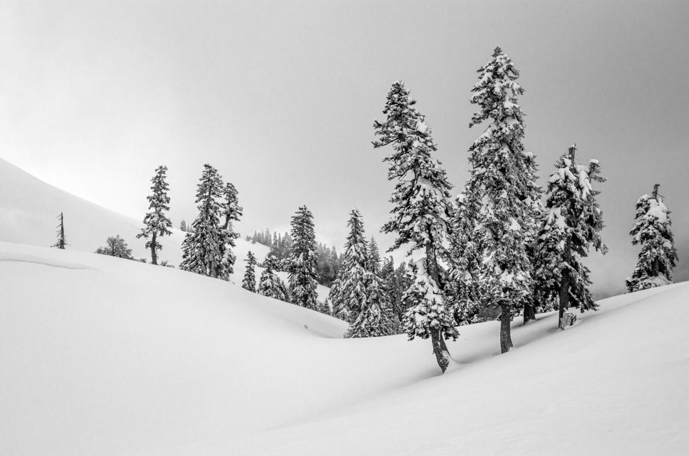 Photograph by Anton Kuzkin