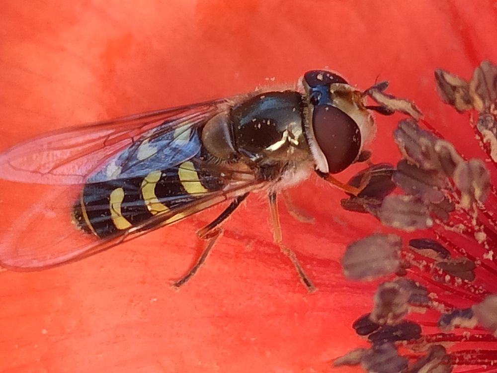 Photograph by Татьяна Долгушева