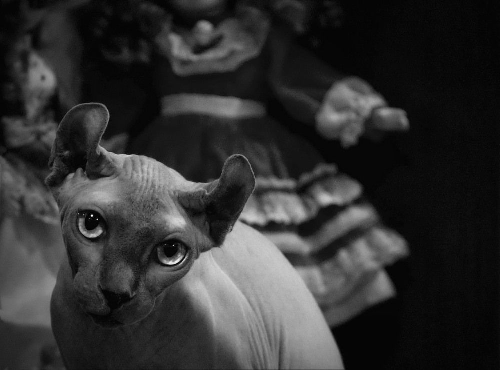 Photograph by Aleksandr Larionov