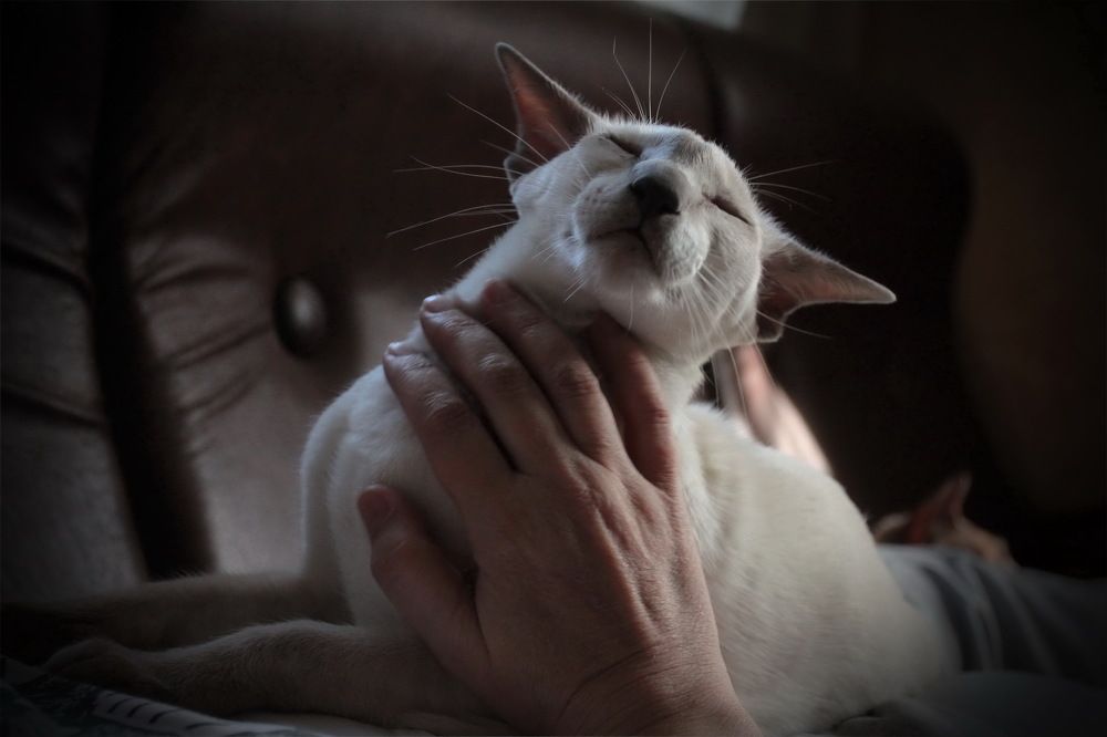 Photograph by Aleksandr Larionov