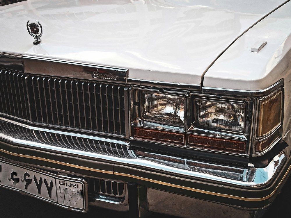 Photograph by Pourya Darband Yourdshahi