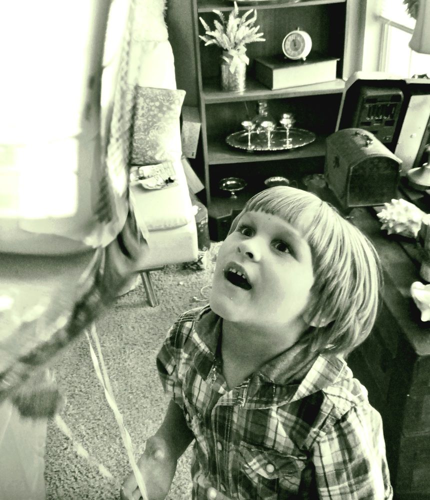 Photograph by Зинаида Кокарева